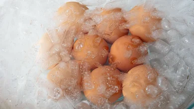 چرا انداختن تخم‌مرغ داغ در آب سرد کار اشتباهی است؟