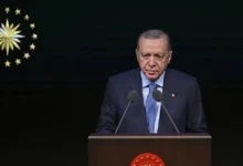 برنامه اشتغال جوانان