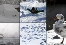 برف بسیاری از مناطق ترکیه را سفیدپوش کرد