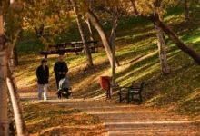 ترکیه پاییز ۲۰۲۵ را به‌عنوان هشتمین پاییز گرم ۵۵ سال اخیر پشت سر گذاشت