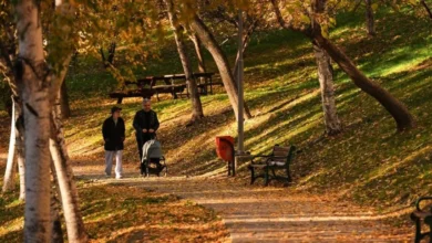 ترکیه پاییز ۲۰۲۵ را به‌عنوان هشتمین پاییز گرم ۵۵ سال اخیر پشت سر گذاشت