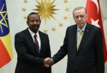 سفر اردوغان به اتیوپی؛ موازنه ژئوپلیتیکی جدید در شاخ آفریقا