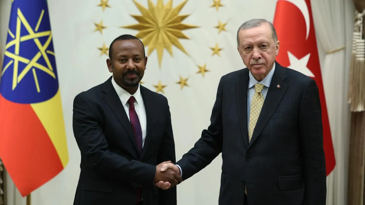 سفر اردوغان به اتیوپی؛ موازنه ژئوپلیتیکی جدید در شاخ آفریقا