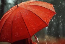 هشدار قرمز هواشناسی؛ بارش برف و باران همزمان در راه است